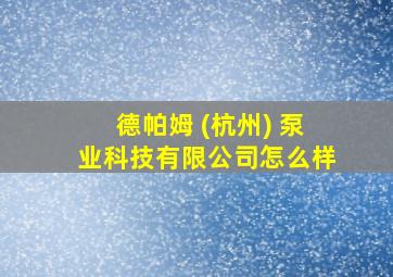 德帕姆 (杭州) 泵业科技有限公司怎么样